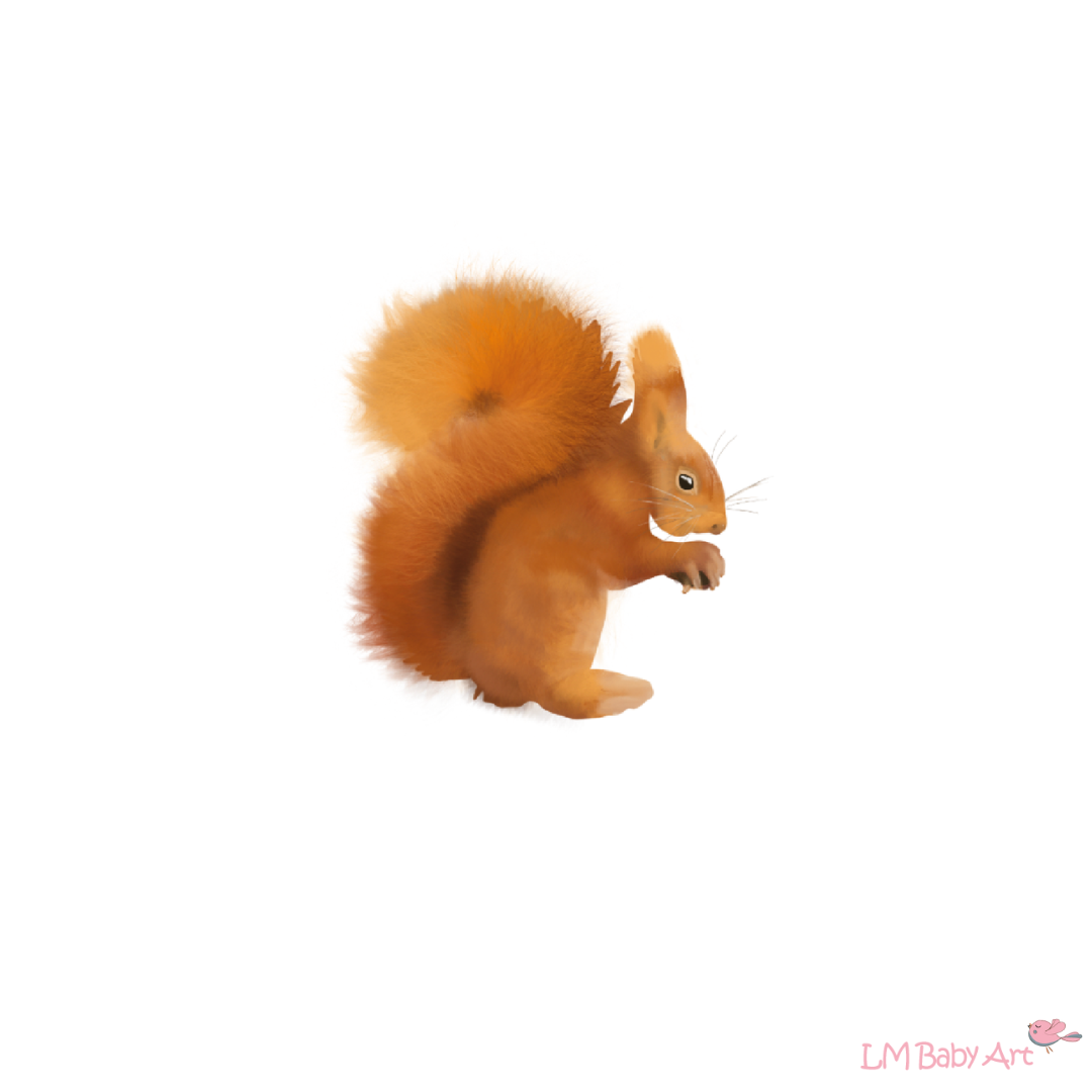 Muursticker eekhoorn - LM Baby Art
