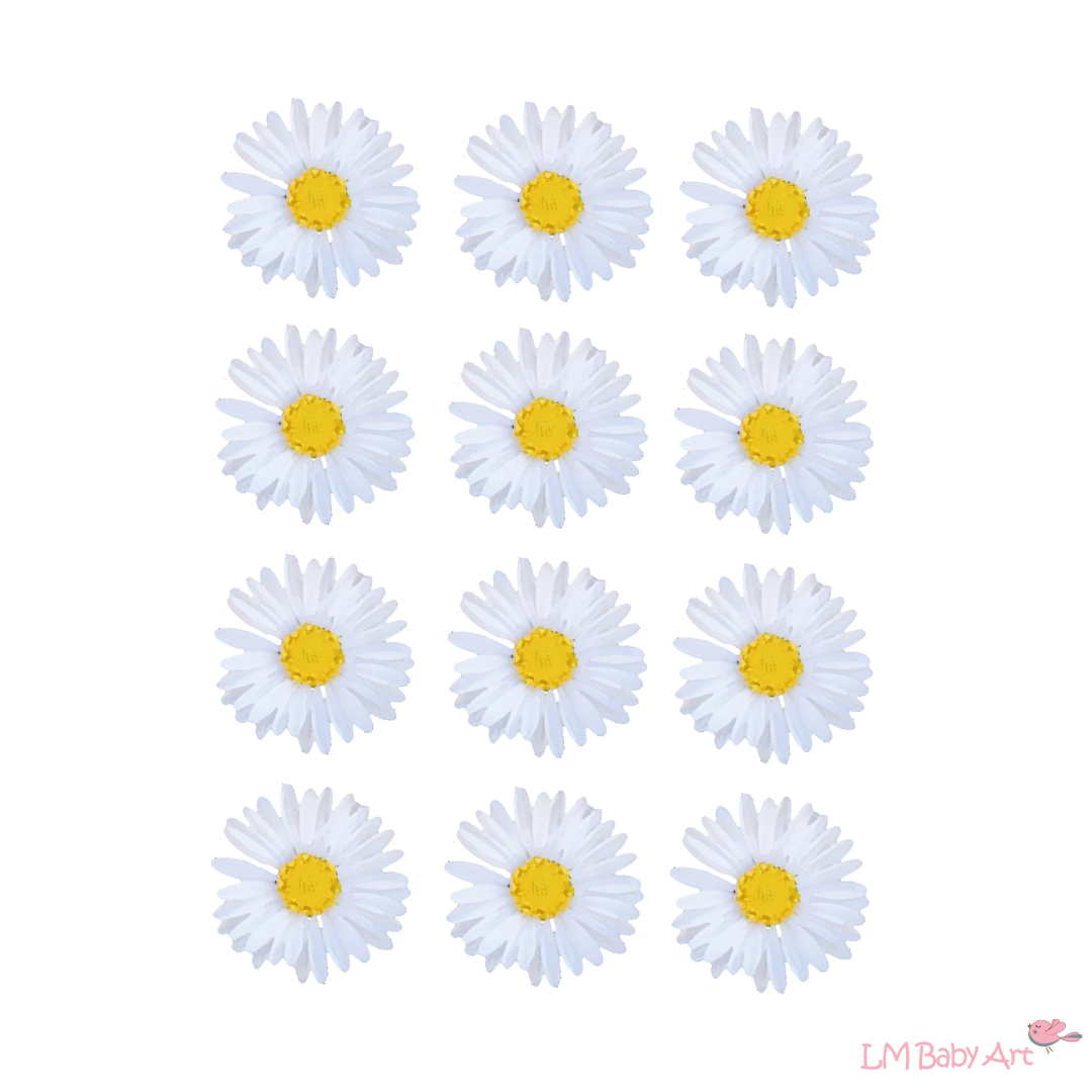 Madeliefjes muurstickers