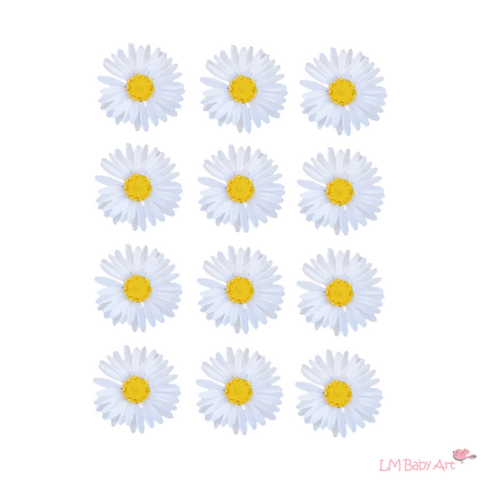 Madeliefjes muurstickers