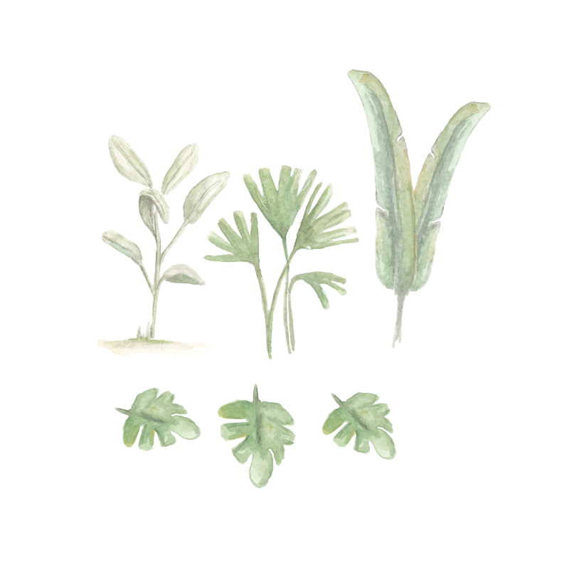Groene bladeren muursticker set - waterverf stijl