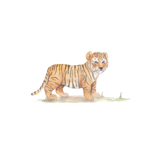 Safari Tijger welpje muursticker - Safari muursticker collectie