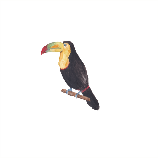 Safari - Toekan muursticker - LM Baby Art