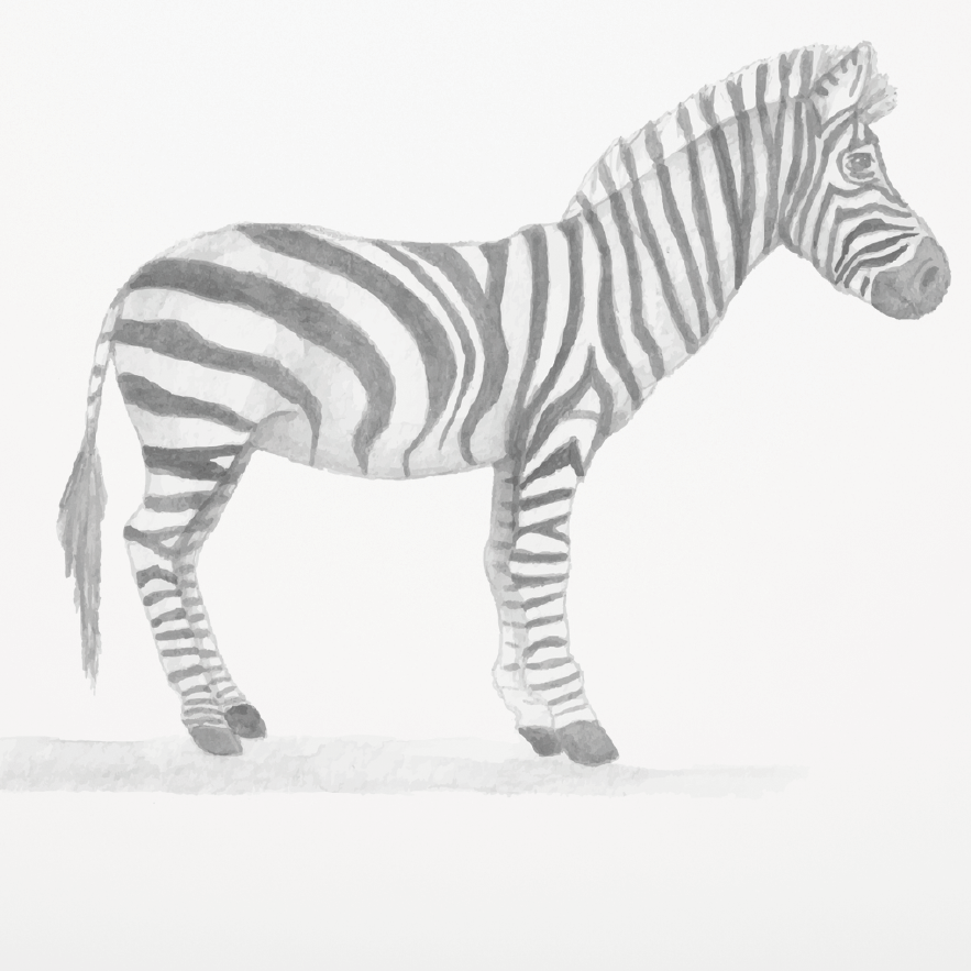 Zebra muursticker - LM Baby Art | Muurdecoratie voor de allerkleinsten
