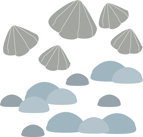 Stenen en schelpjes muurstickers uit de Fishie Fishies collectie