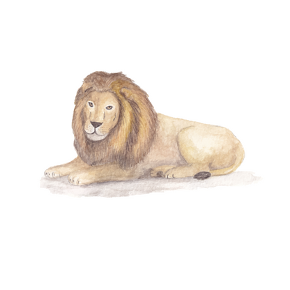Muursticker leeuw kinderkamer