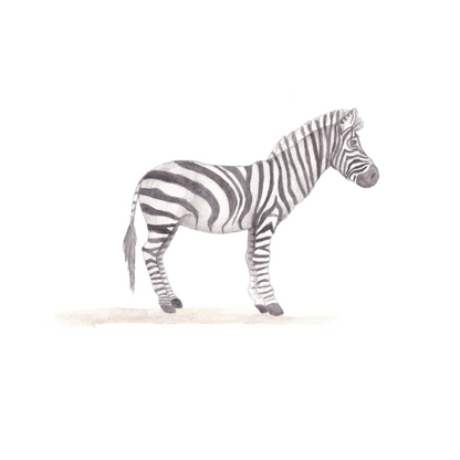 Safari - Zebra muursticker - LM Baby Art