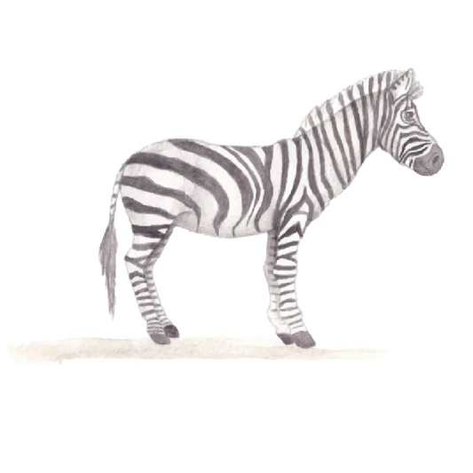 Zebra muursticker - LM Baby Art | Muurdecoratie voor de allerkleinsten